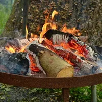 fire-1441205_1280.jpg