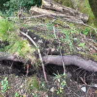 img-20170827-wa0006.jpg